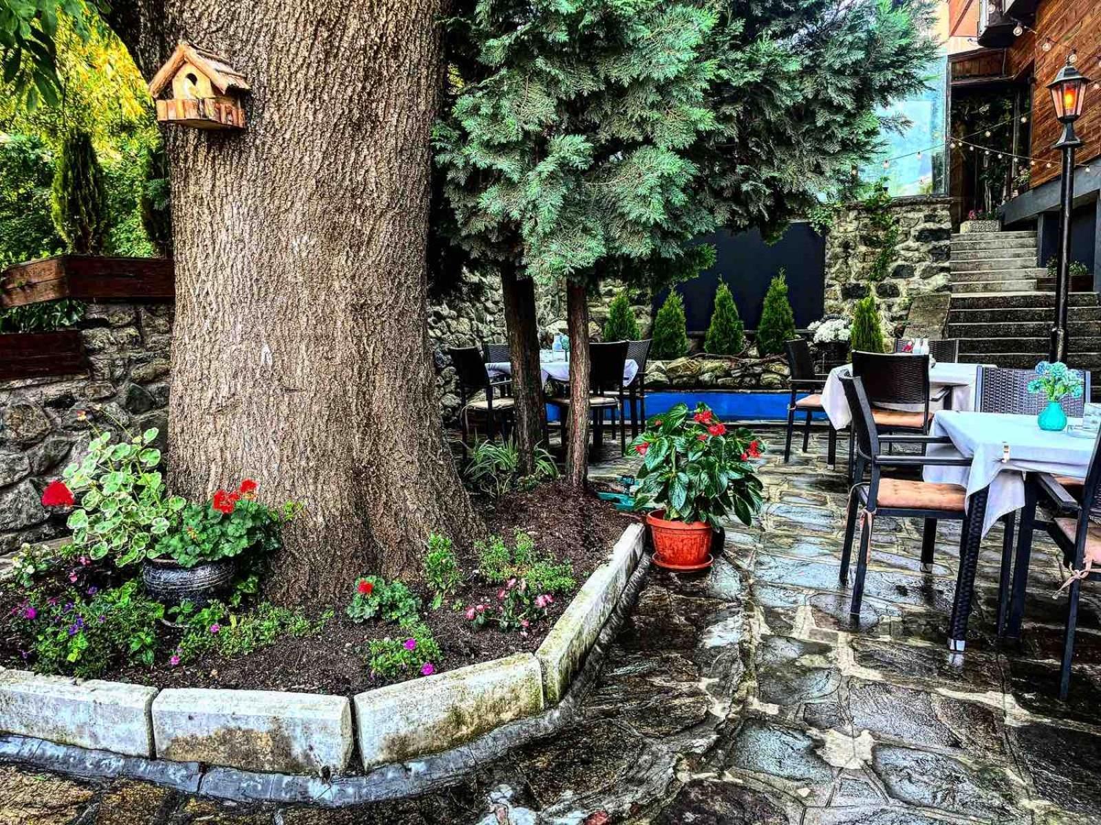 Andesite Boutique Residence Hotel Sofia Eksteriør billede